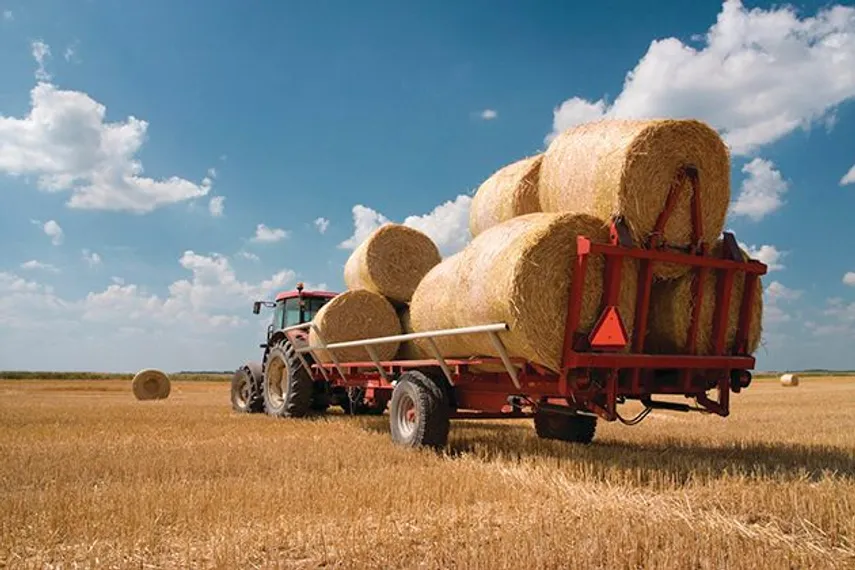 Капитал - Глава РК о ценах на продукты: Пора навести порядок