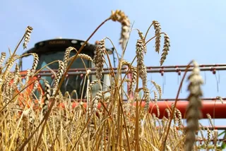 Капитал - КазАгро поддержал посевные и уборочные работы на 92,8 млрд тенге