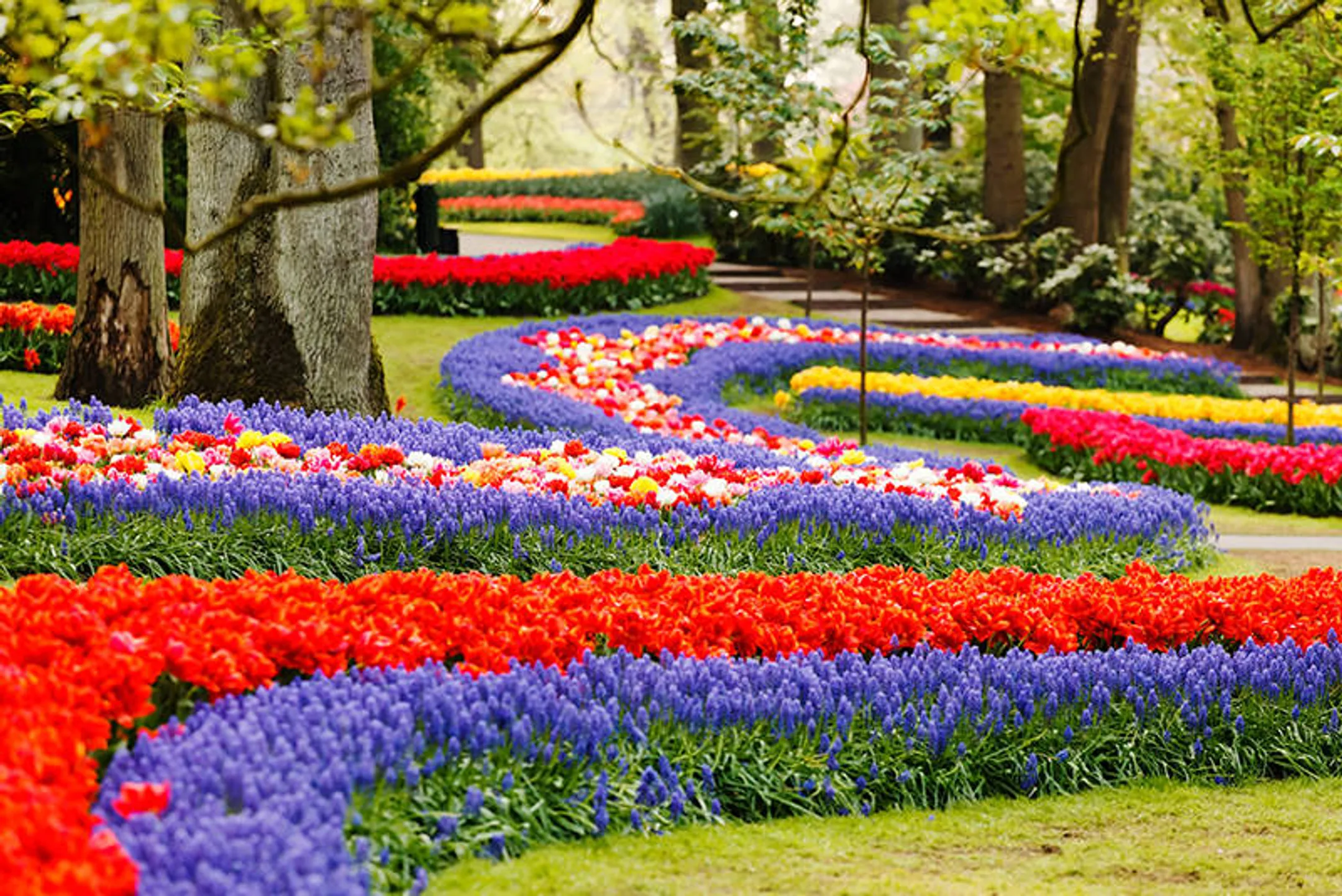 По следам Ван Гога на земле ветряных мельниц - Image Kapital.kz