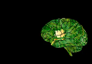 Капитал - Neuralink Илона Маска впервые вживила мозговой имплант человеку