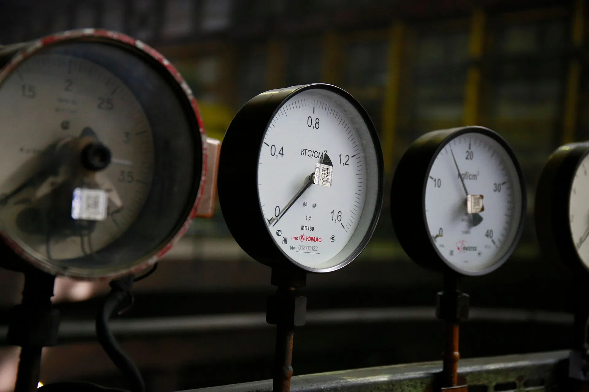 Фото: Руслан Пряников