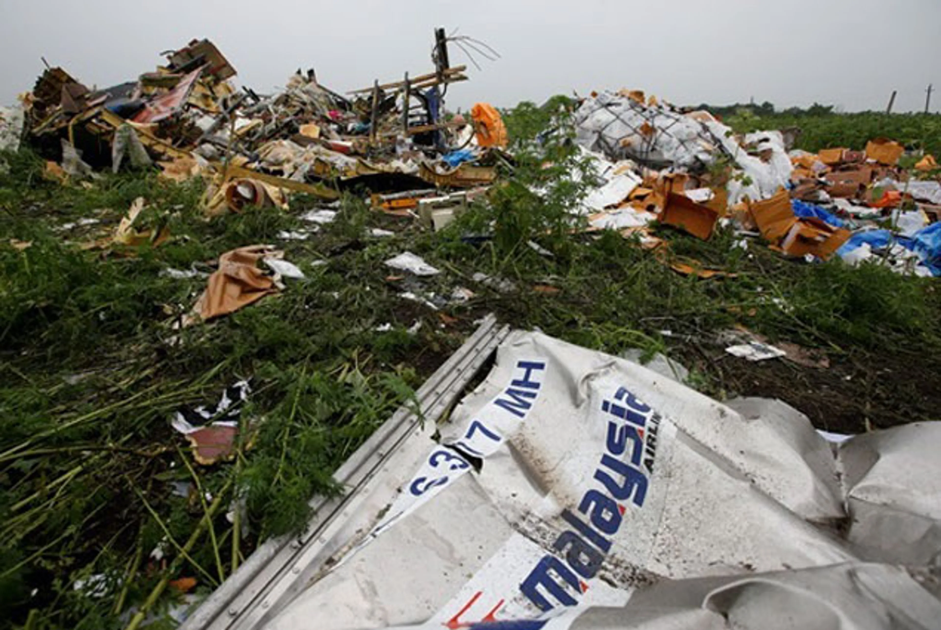 Капитал - Германия обвинила сепаратистов в гибели Боинга