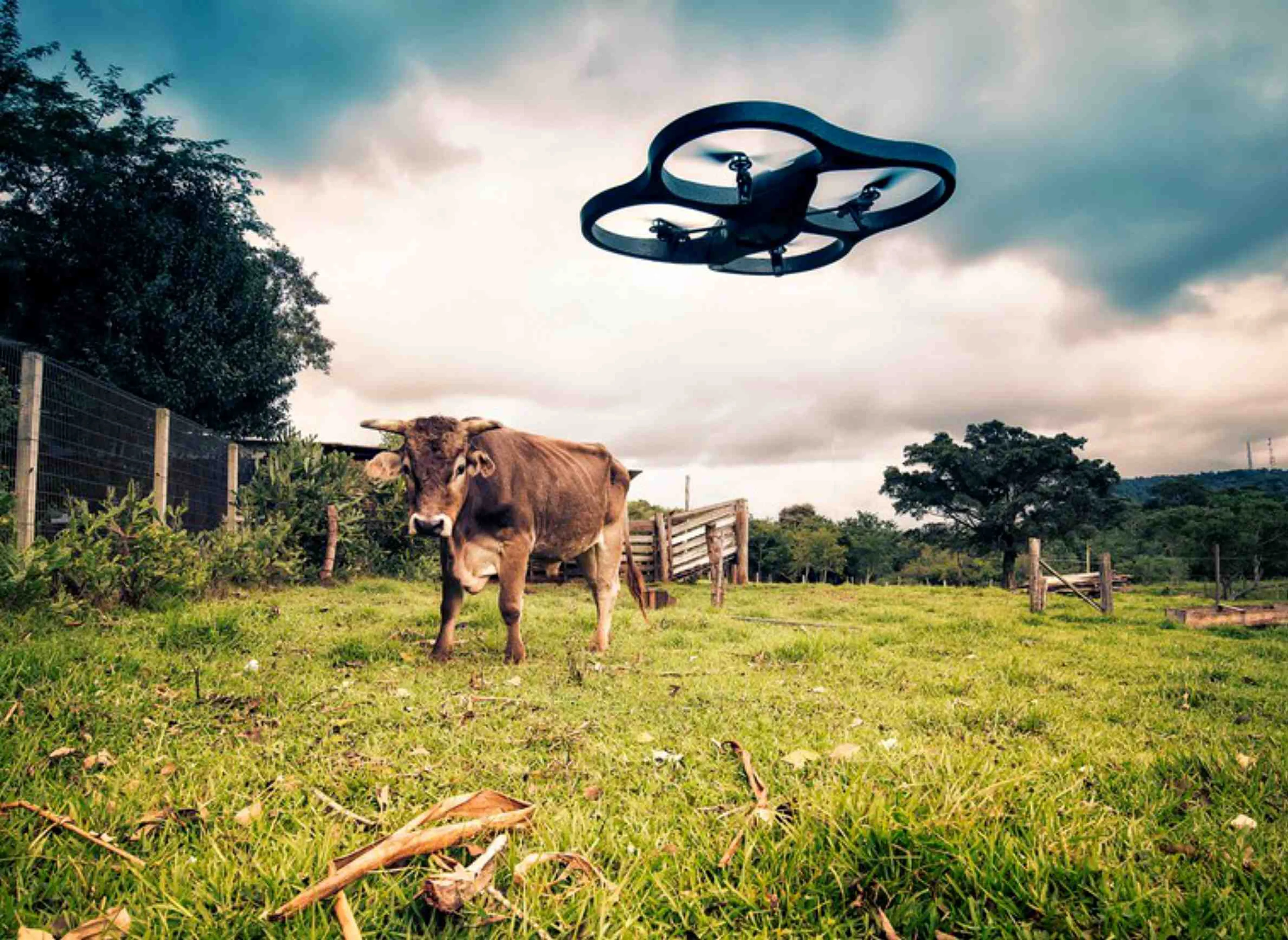 Капитал - В Костанайской области намерены оцифровать АПК