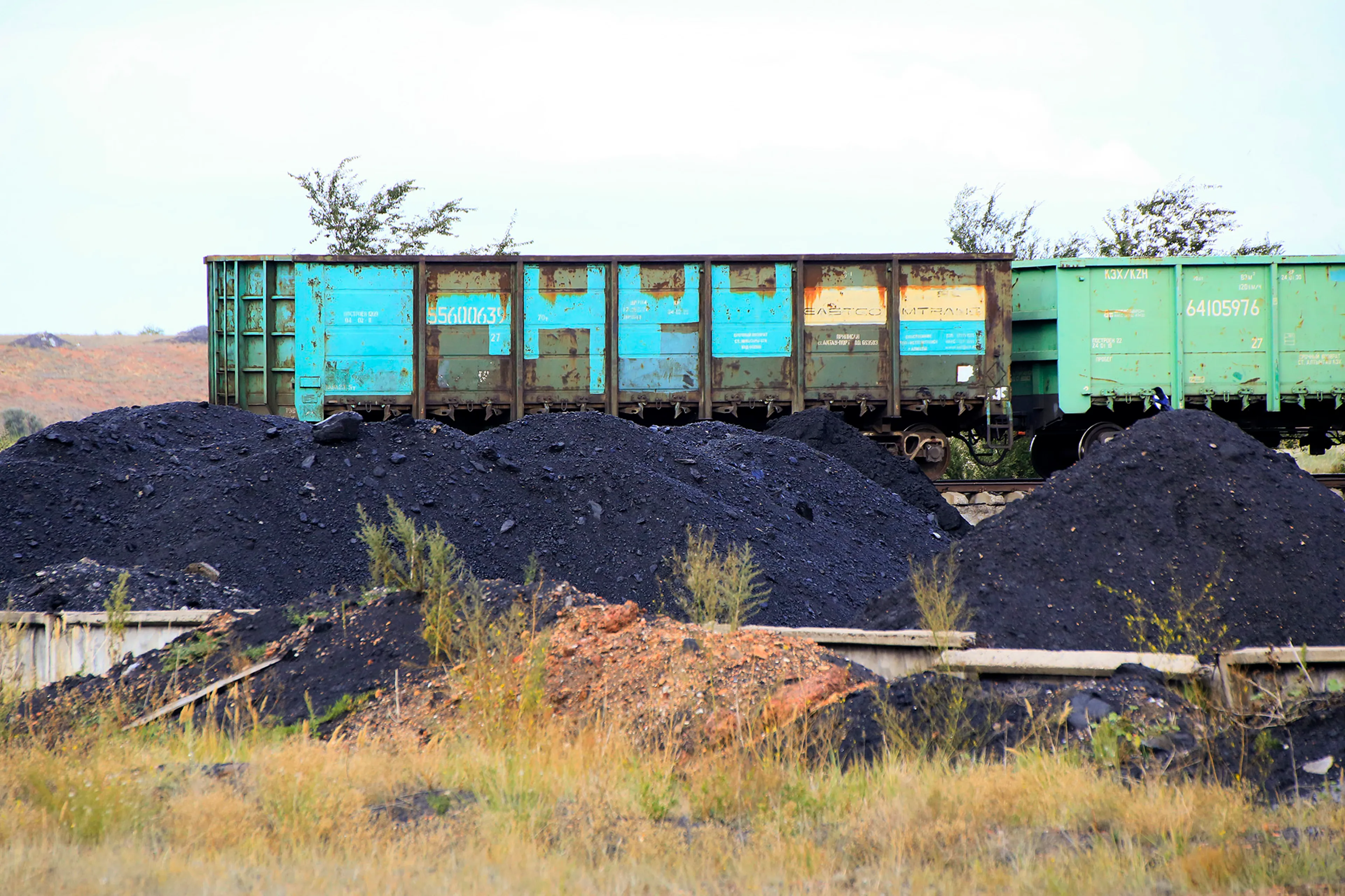 Фото: Руслан Пряников 