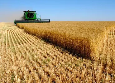 По пути к стабилизации