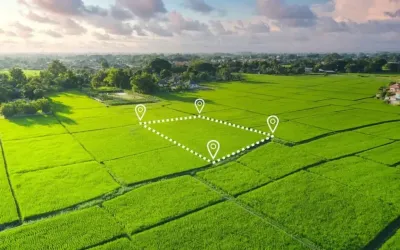 ҚР Ауыл шаруашылығы министрлігінің Жер ресурстарын басқару комитеті