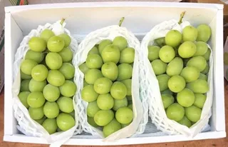 Фото: Министерство сельского хозяйства РК 