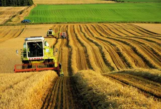 Капитал - Выдача мелких займов в селах выросла в 4 раза