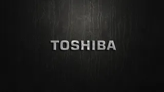 Капитал - С чего началась Toshiba?