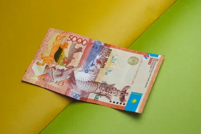 Фото: Валерия Змейкова