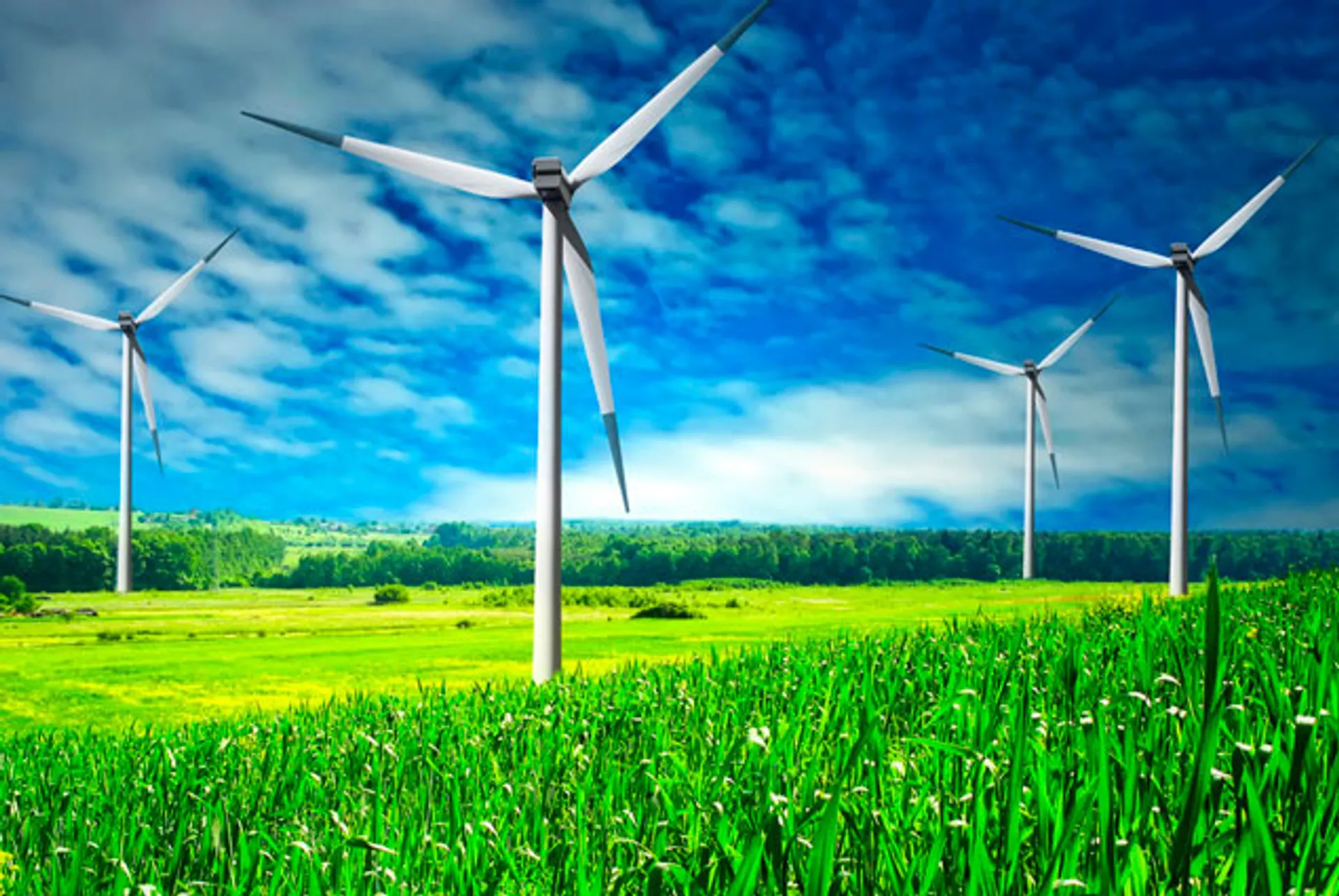 Капитал - Для зеленой энергетики создадут финансовый центр