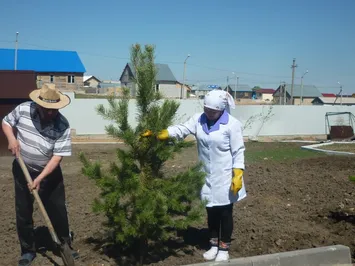 История создания частного пансионата для пожилых людей