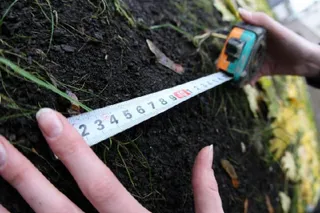 Капитал - В Алматы при пробивке улицы Фурманова изымут 72 участка