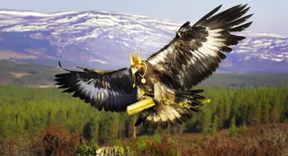 Капитал - Сокровище нации