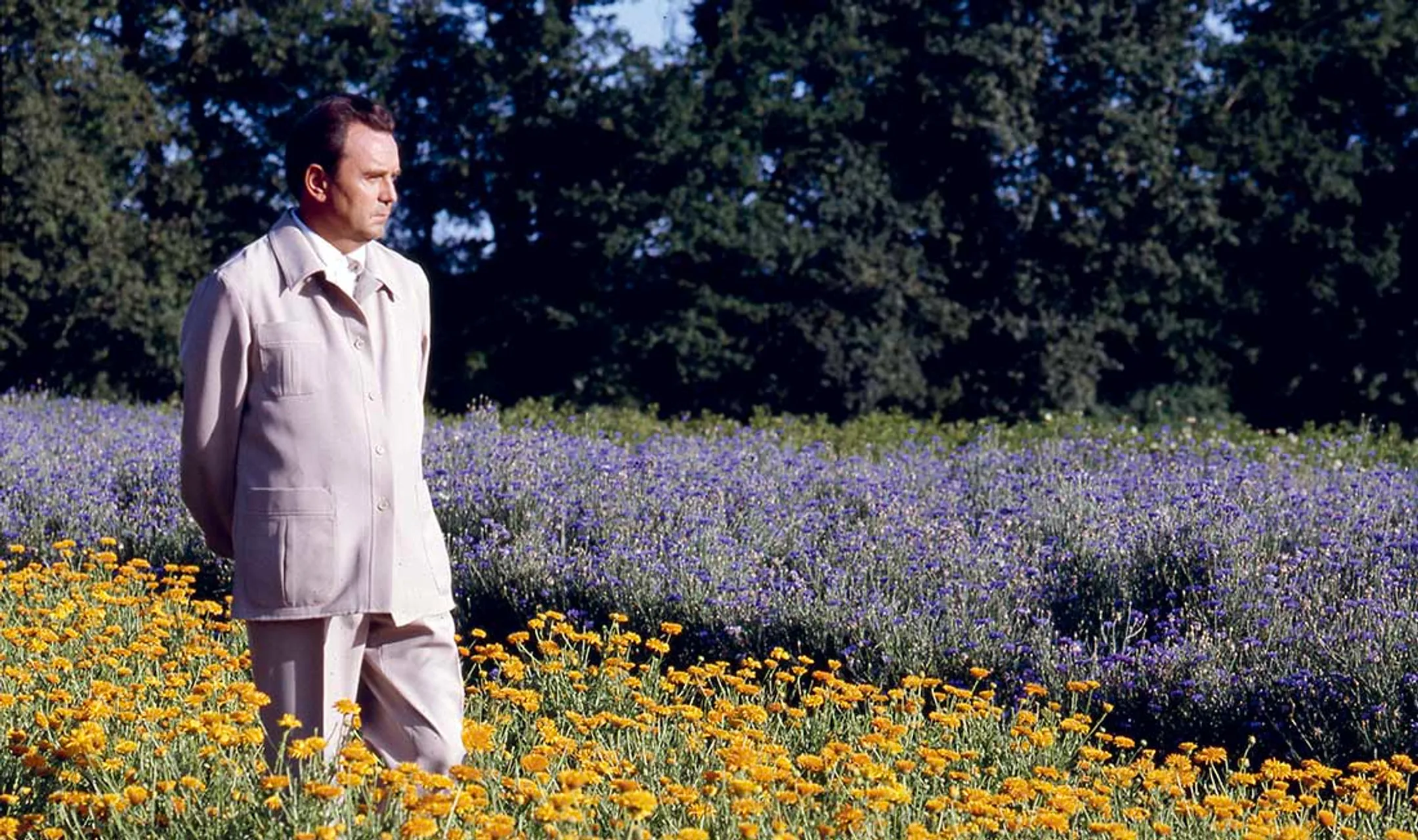 Ива Роше в мир растительной косметики привела целительница - Image Kapital.kz