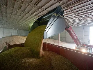 Капитал - МЧС оштрафовало 150 руководителей зернохранилищ