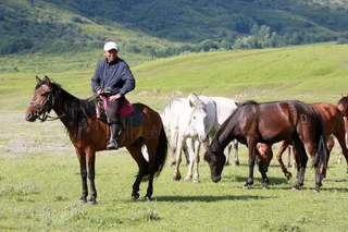 Фото: Руслан Пряников
