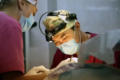 Страна лопоухих