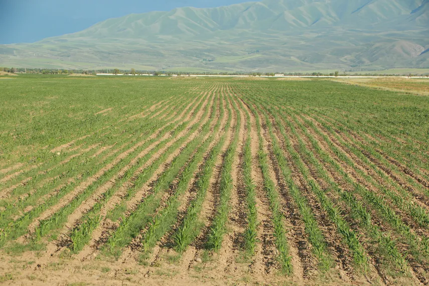Фото: Руслан Пряников