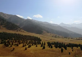 Капитал - Кому достались земли Иле-Алатауского нацпарка?