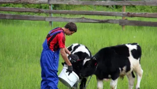 Капитал - Фонд финподдержки АПК прокредитует сельчан на 43,3 млрд тенге