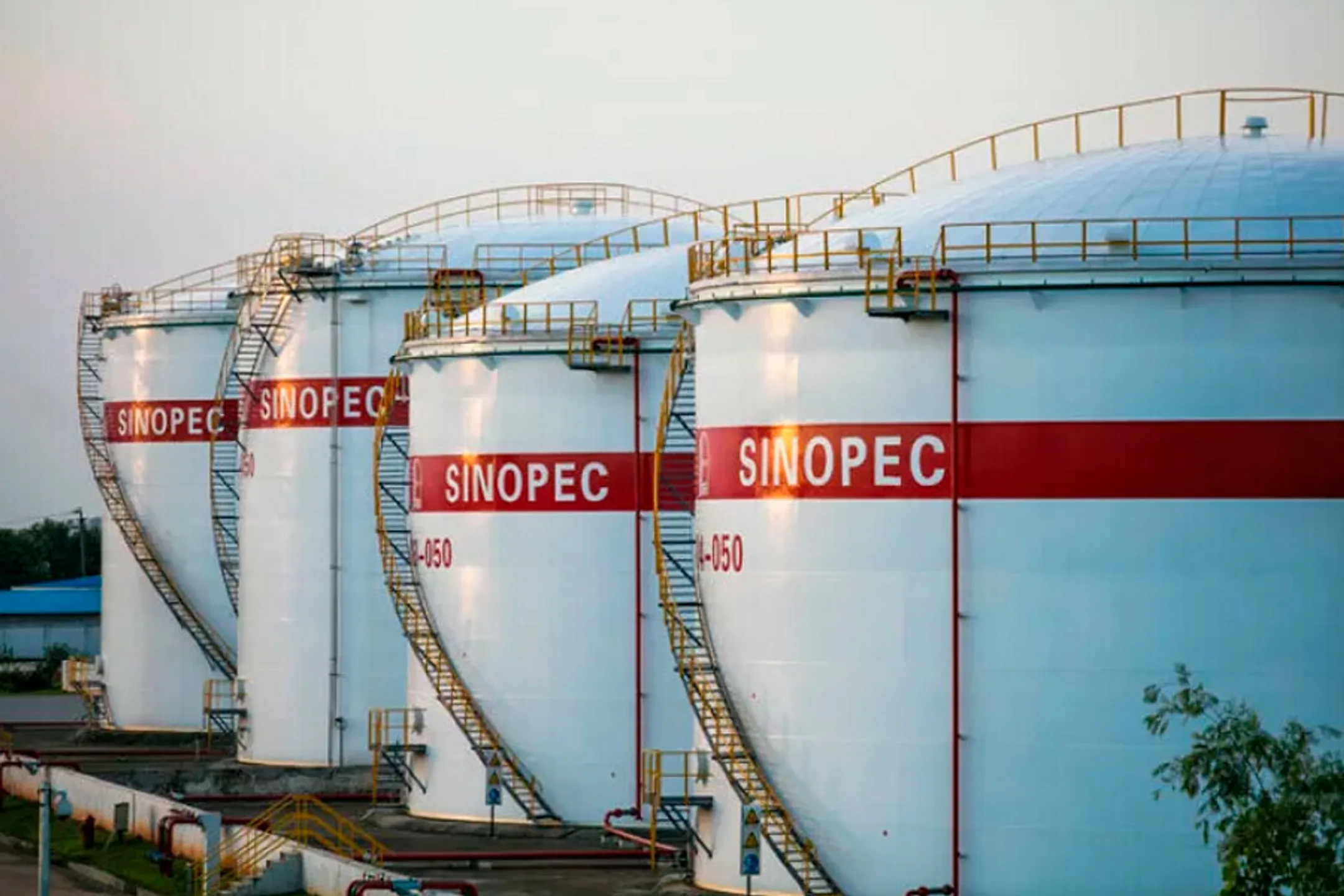 rupec.ru
