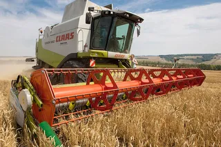 Капитал - Минсельхоз РК сократит неэффективные субсидии