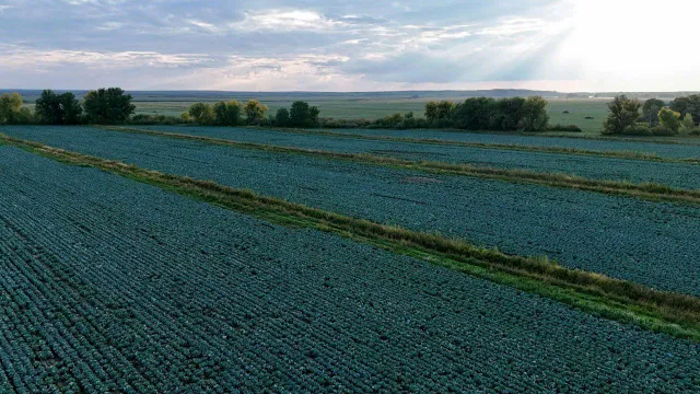 Фото: пресс-служба премьер-министра РК 