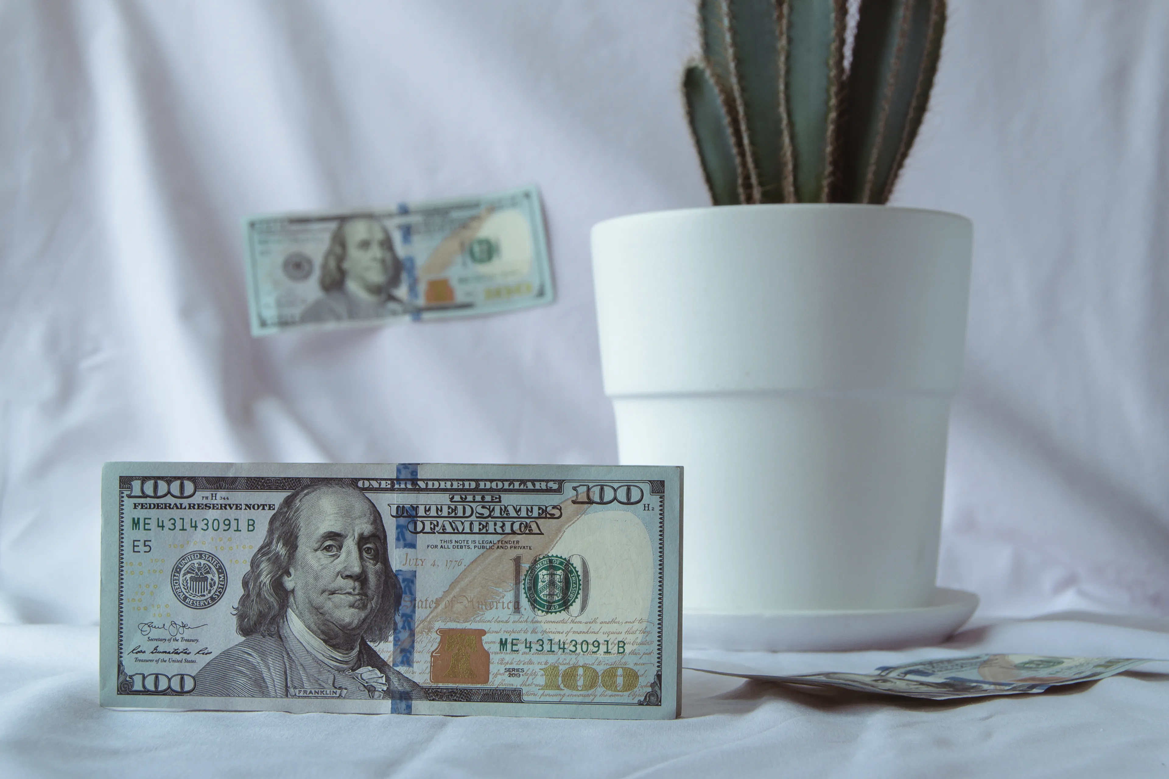 Фото: Валерия Змейкова