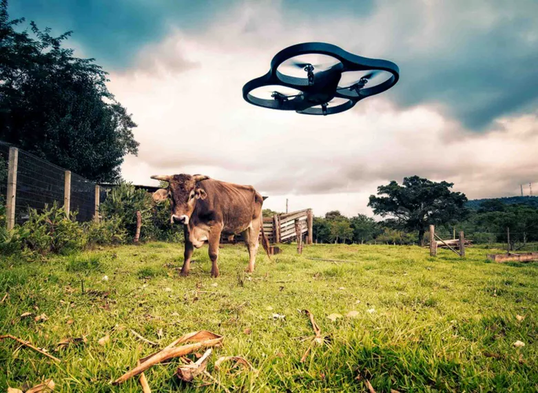 Капитал - В Костанайской области намерены оцифровать АПК