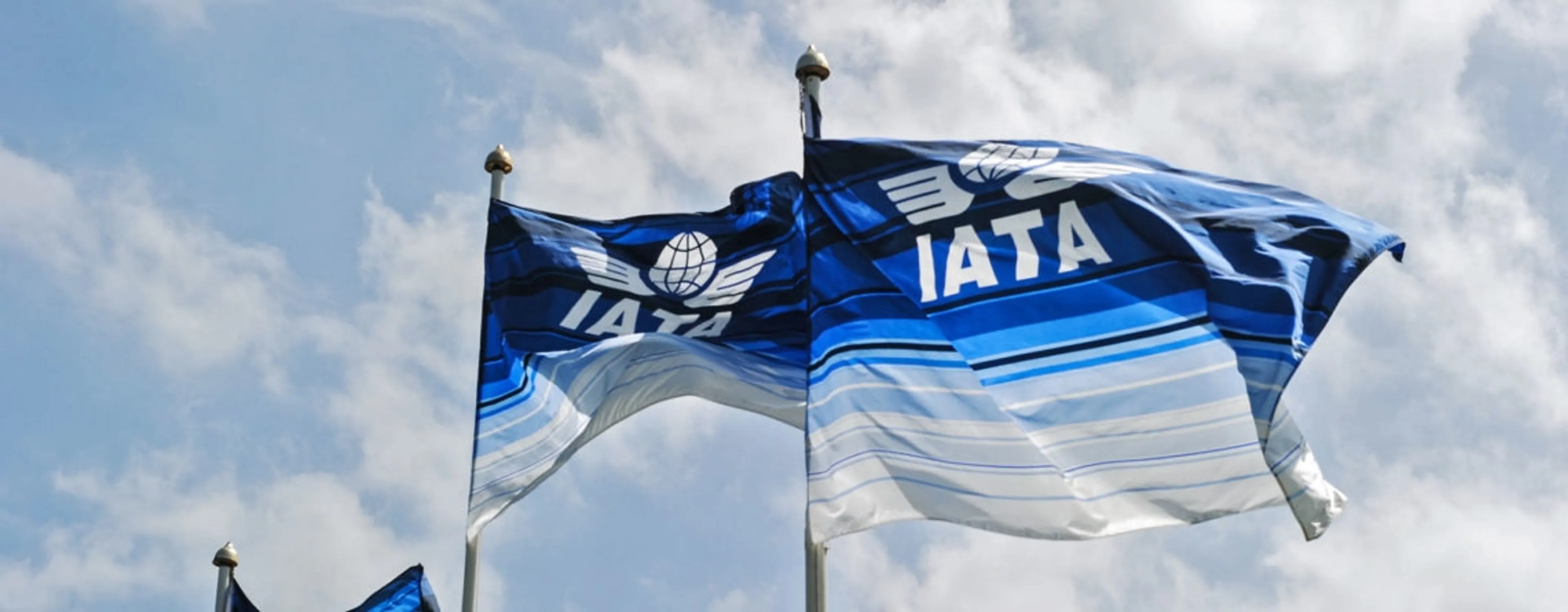 Капитал - IATA призвала страны открыть границы