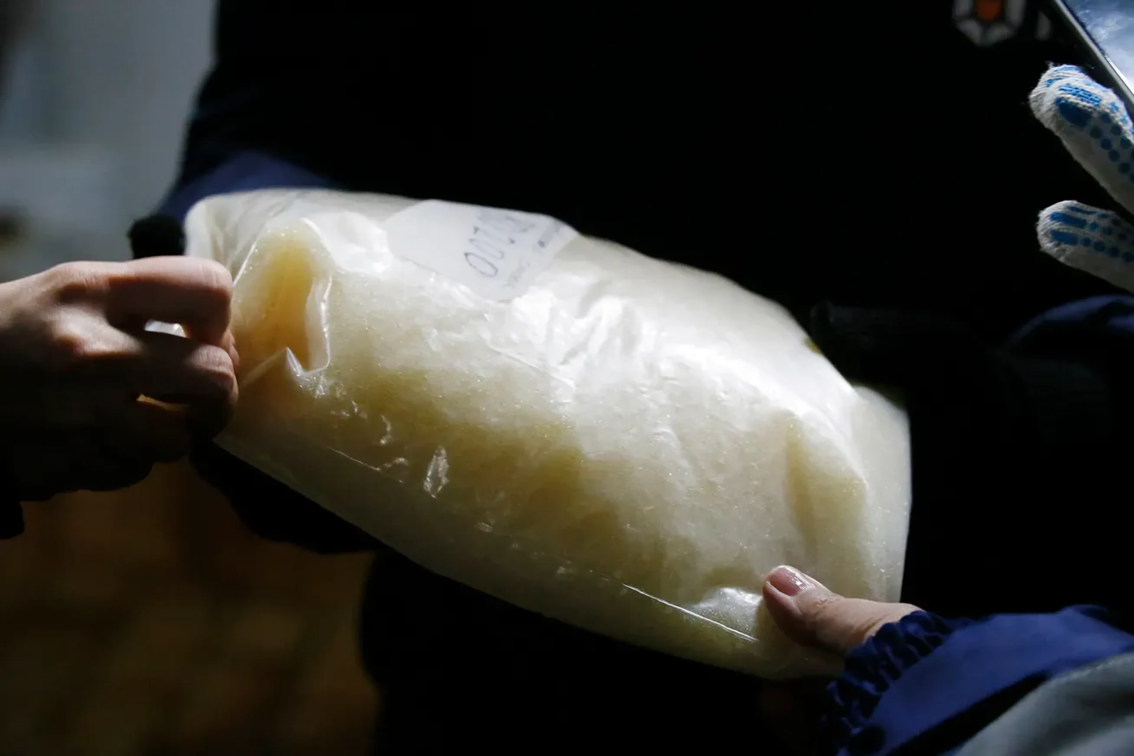 Фото: Руслан Пряников