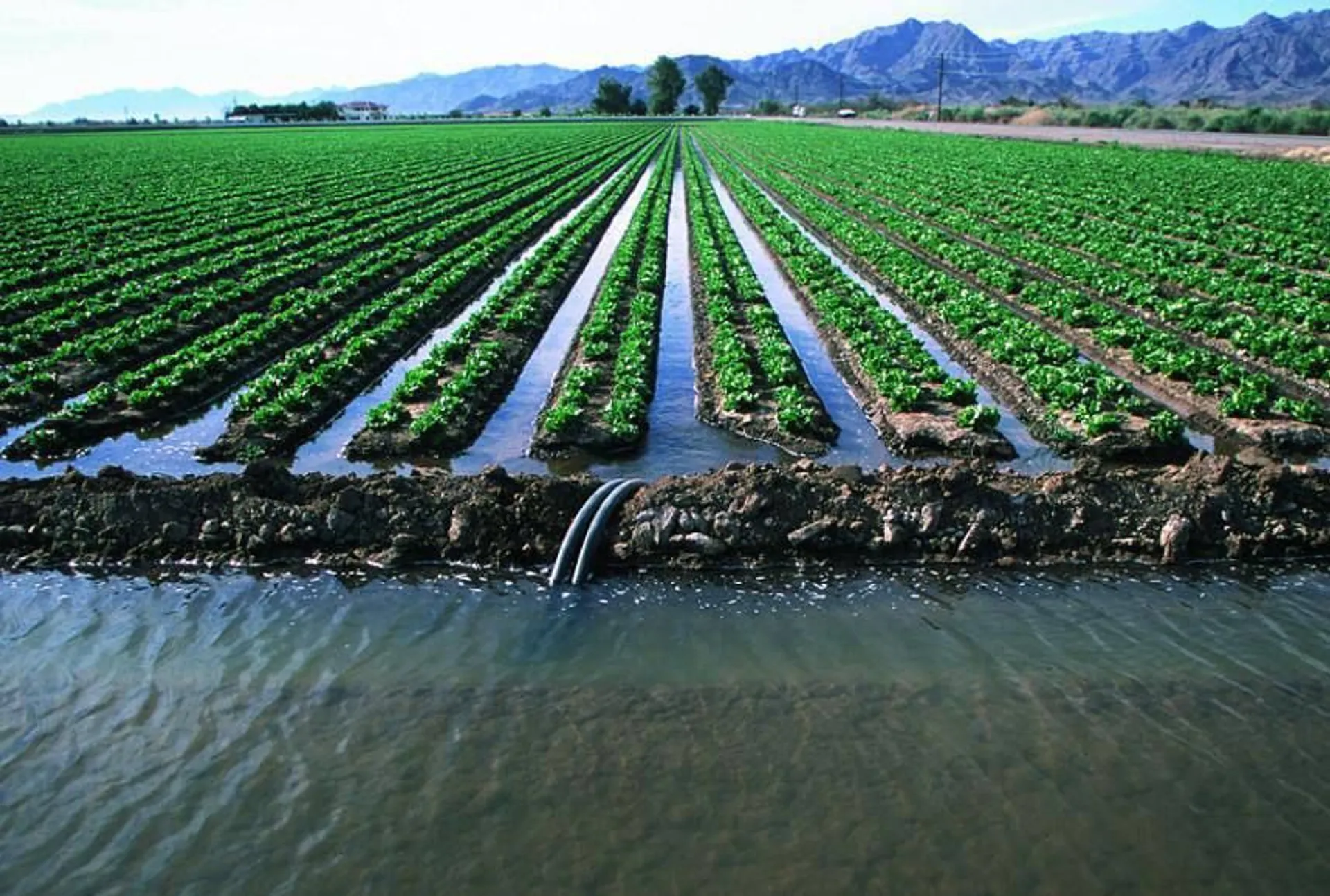 Фото: Министерство водных ресурсов и ирригации РК 