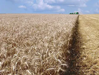 Капитал - Урожай зерна в Казахстане не дотянет до 11 млн. тонн