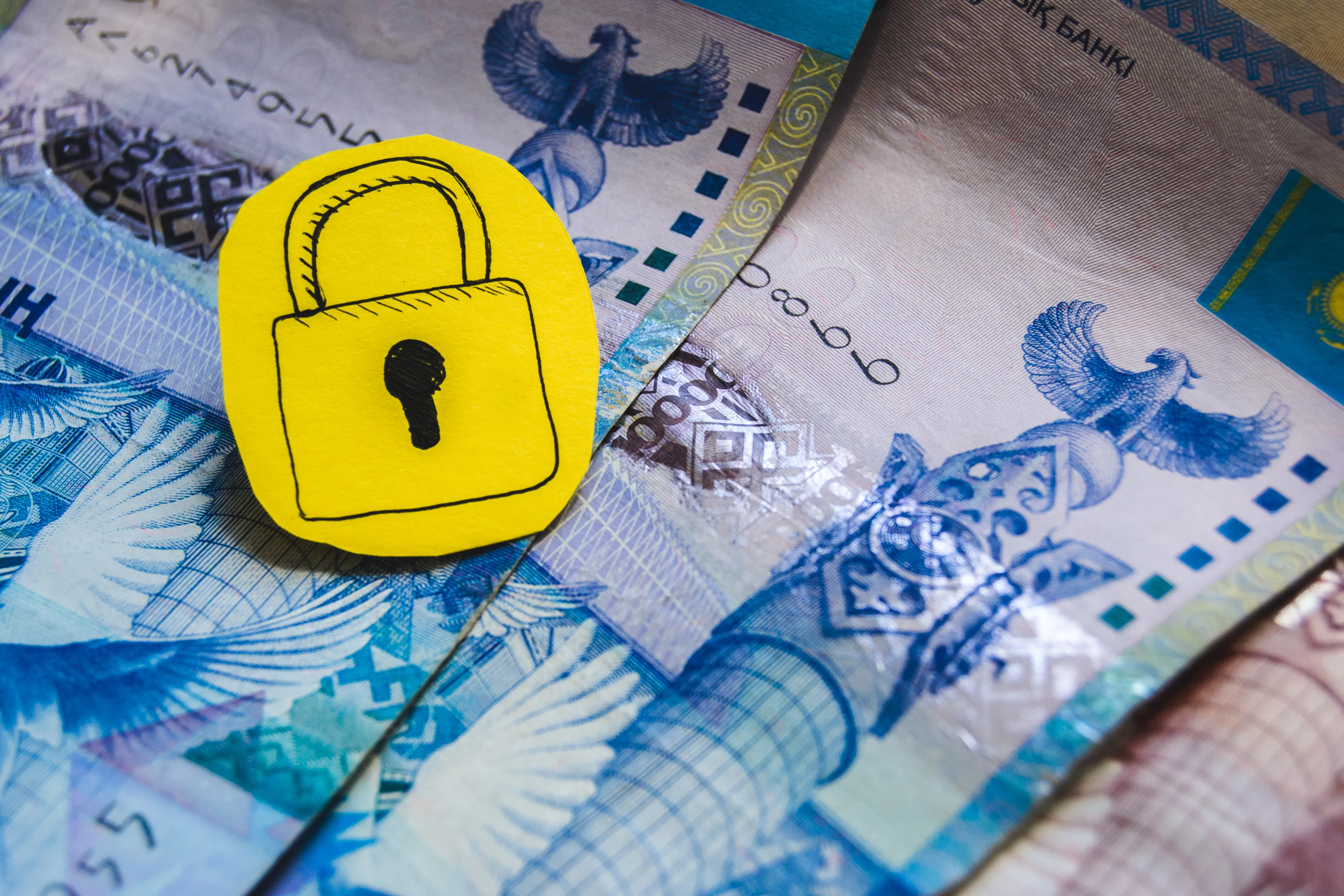 Фото: Валерия Змейкова