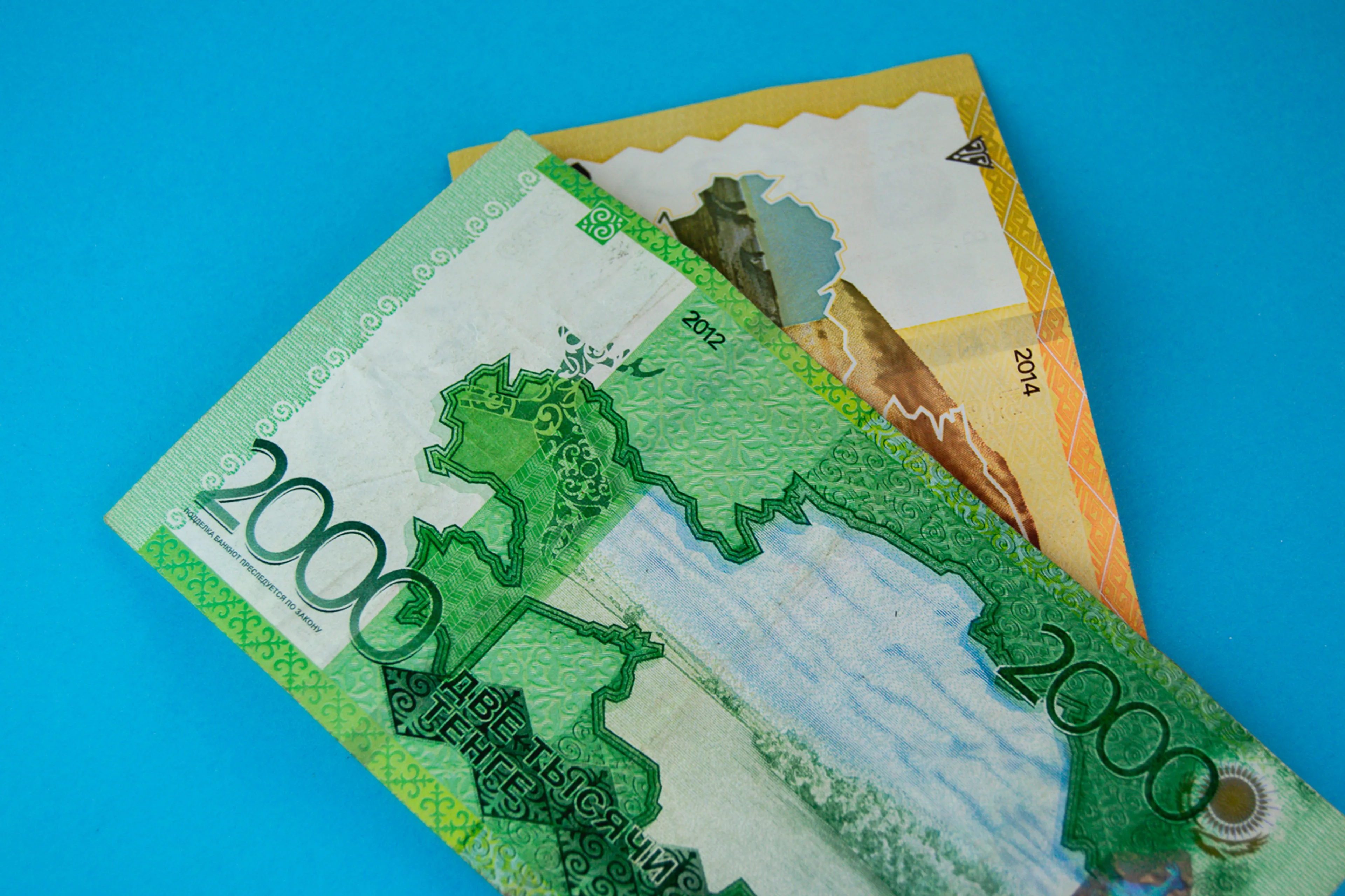 Фото: Валерия Змейкова