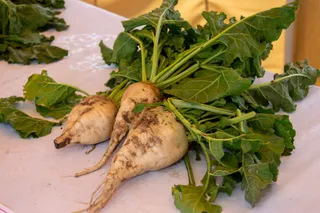 Фото: Дмитрий Ерофеев