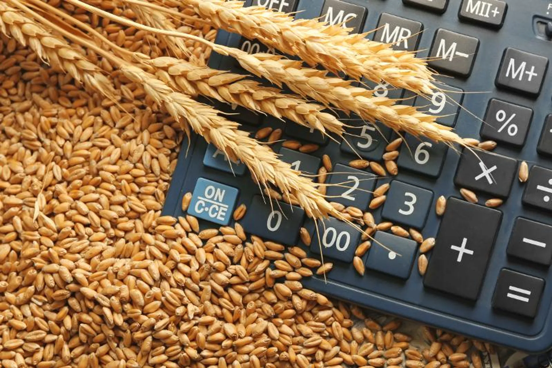 Капитал - Для сельхозкооперативов действуют льготы по налогам