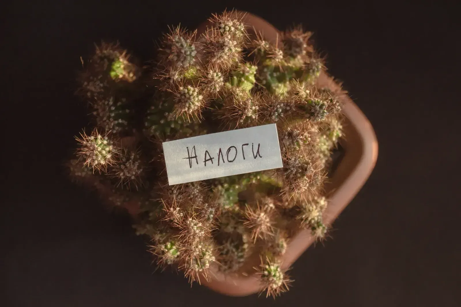 В Казахстане отменяют налоговые проверки на 2025 год - Максим Барышев