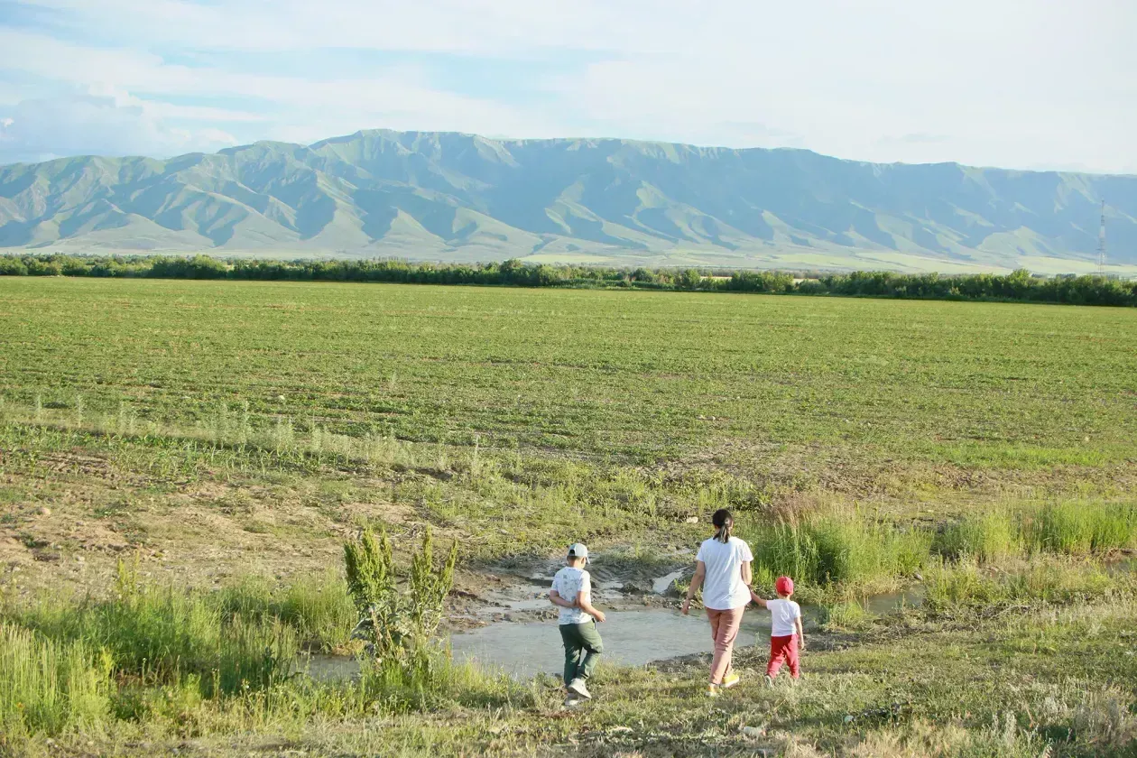 Около 1200 га сельхозземель возвращено в госсобственность в Актюбинской области