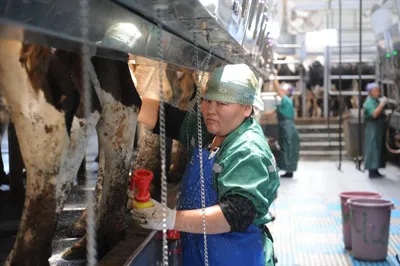 В программе развития АПК необходимо сместить акценты