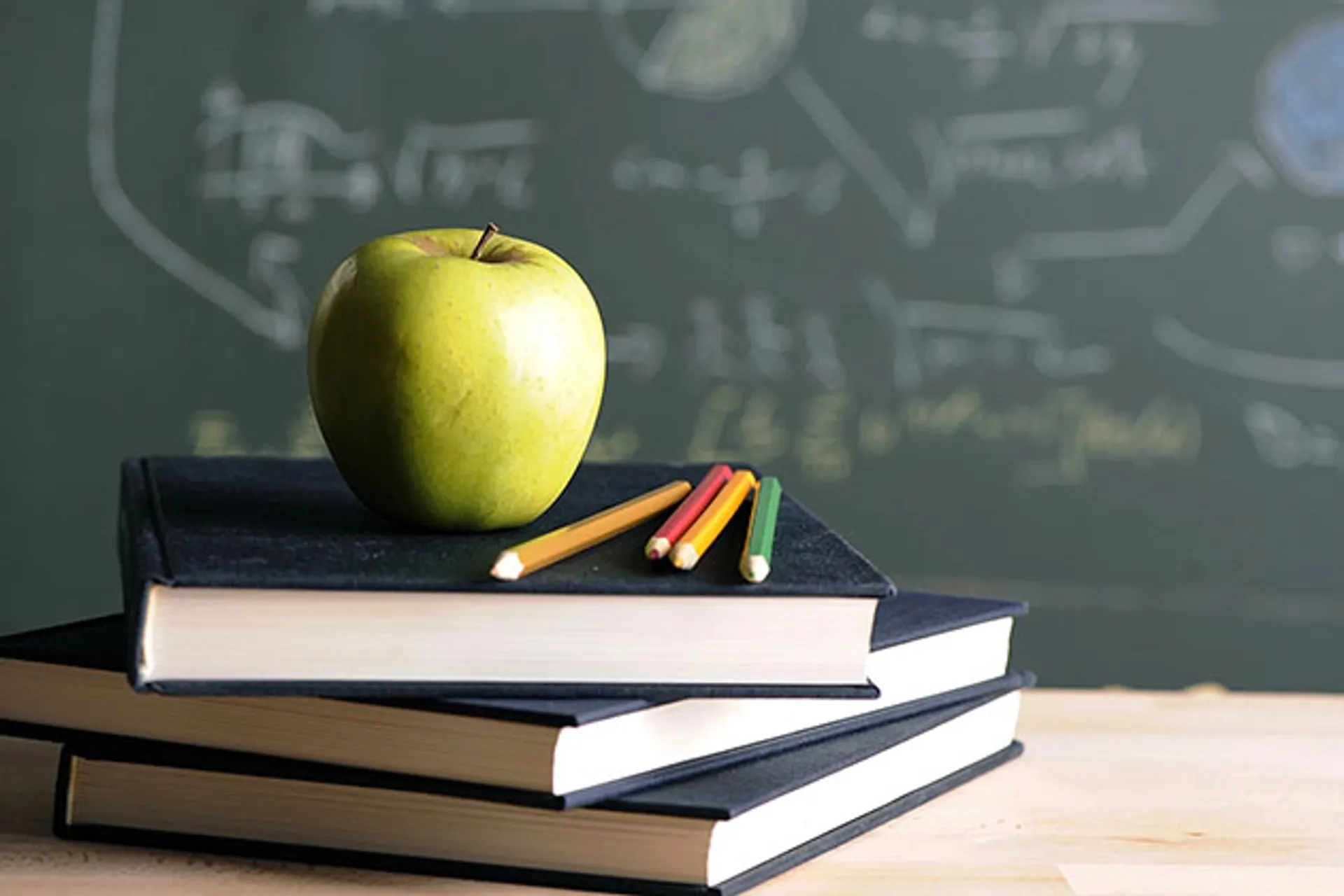 Капитал - Что прибыльнее: детский сад или школа?