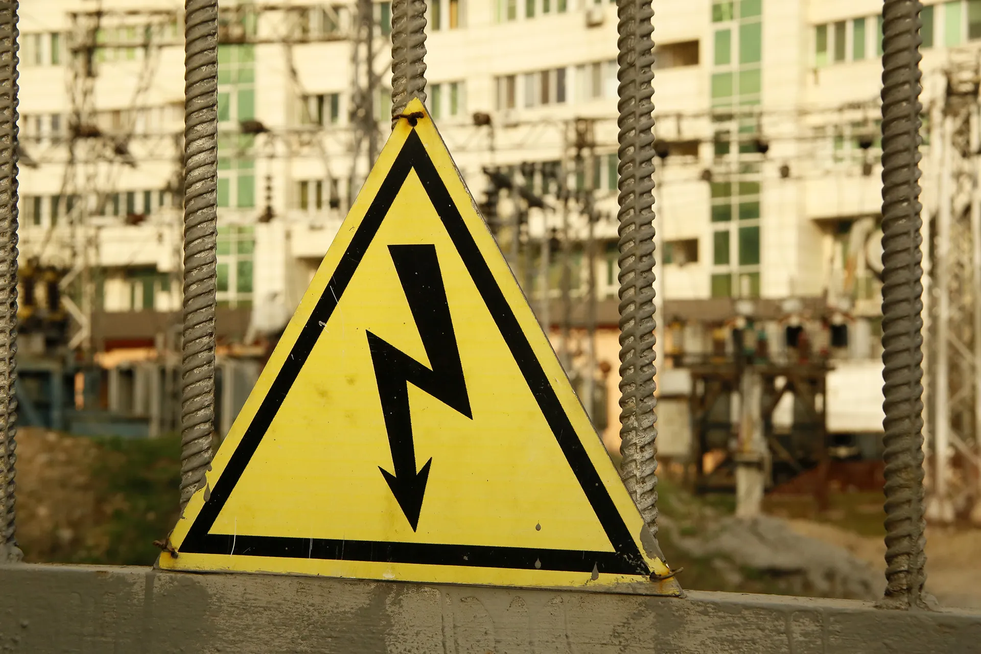 Фото: Руслан Пряников