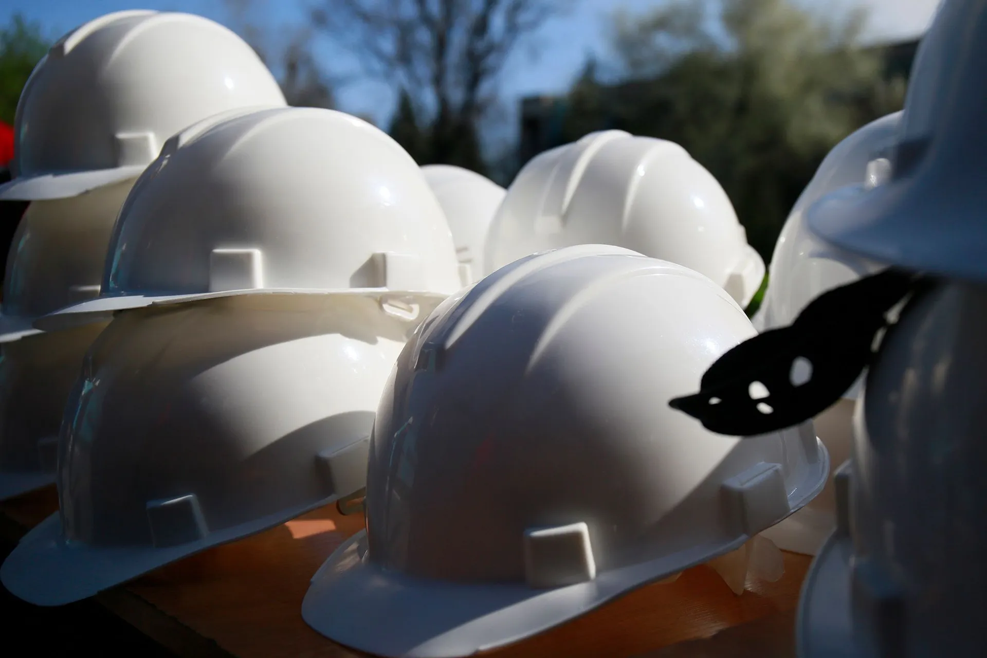 Фото: Руслан Пряников