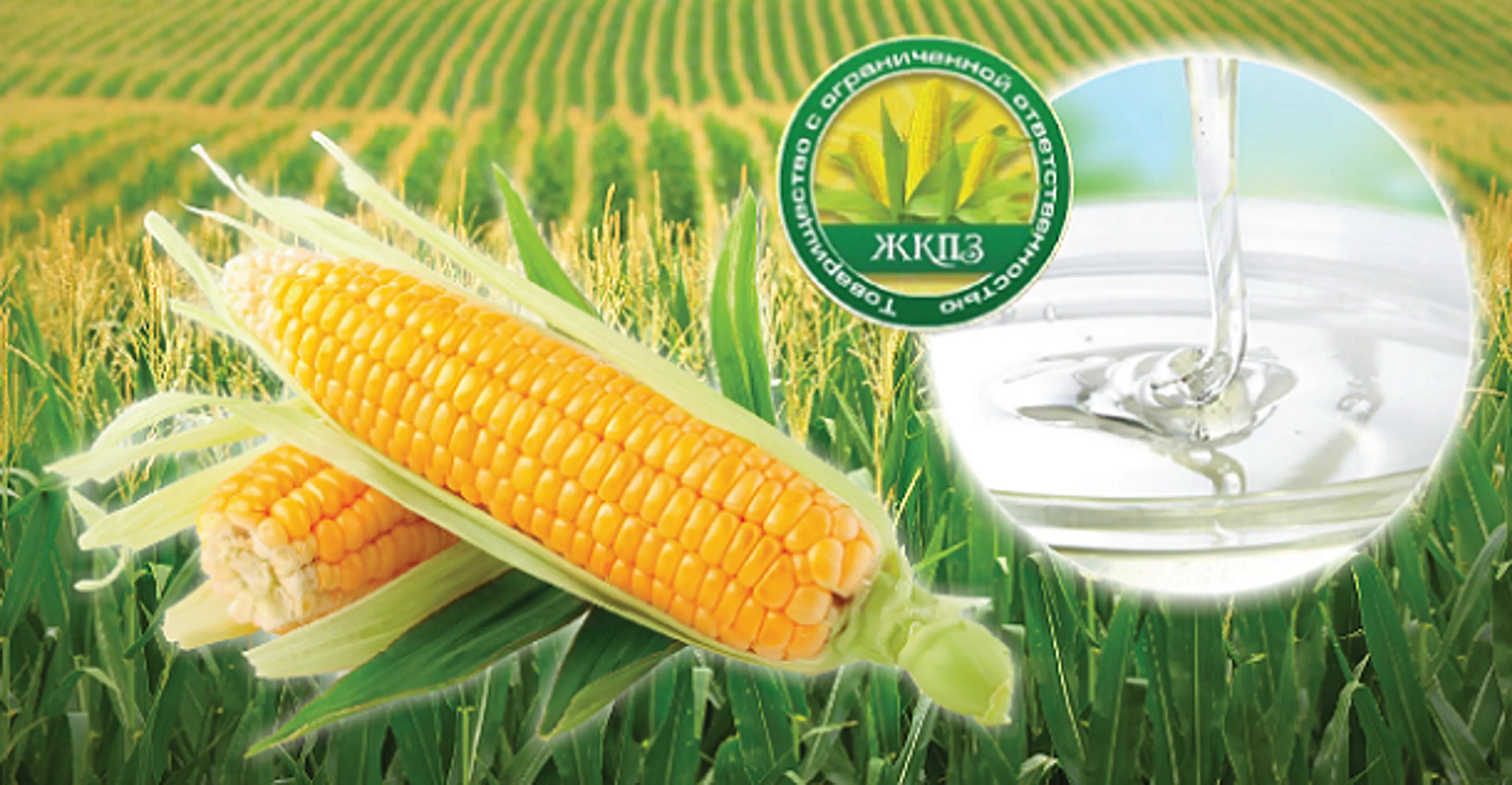 Капитал - Казахстанская патока не имеет аналогов в Средней Азии