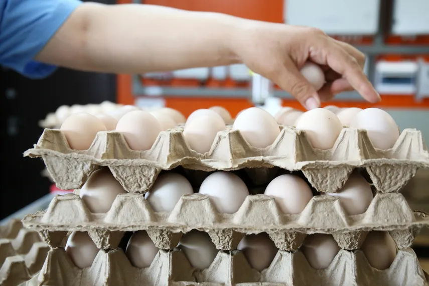 Фото: Руслан Пряников