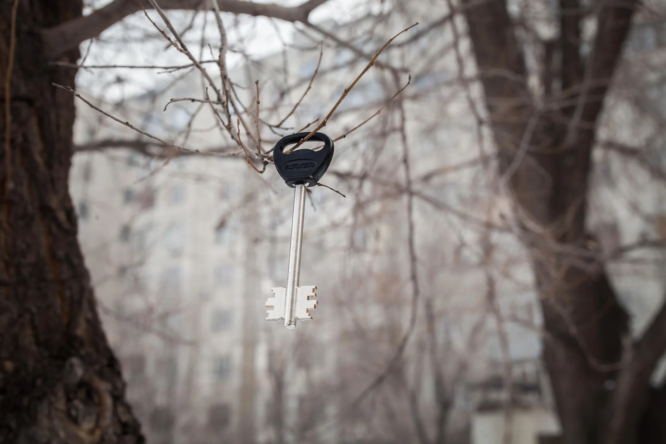 Списки очередников по доступному жилью станут прозрачными - Image Kapital.kz