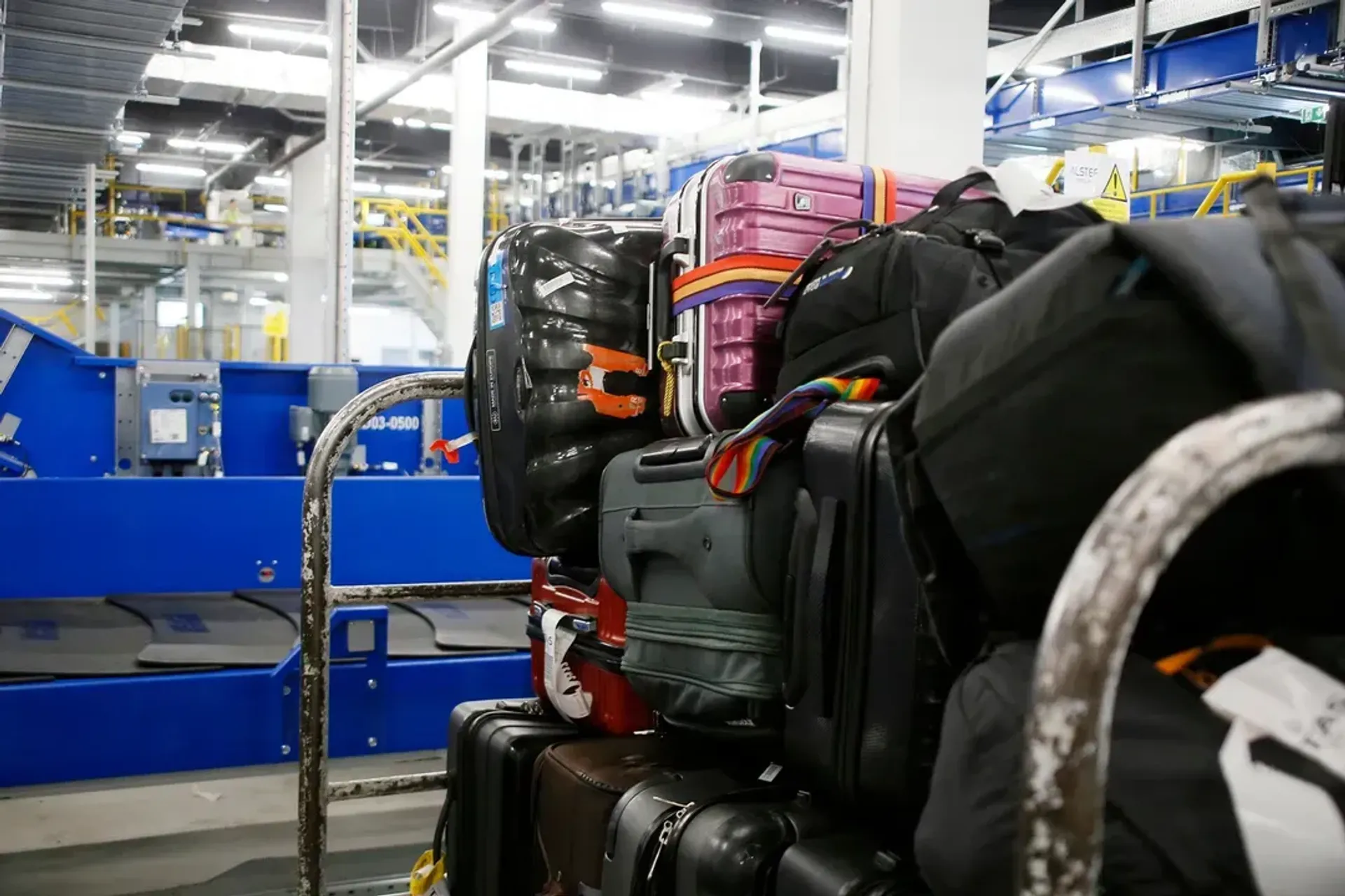 Фото: Руслан Пряников