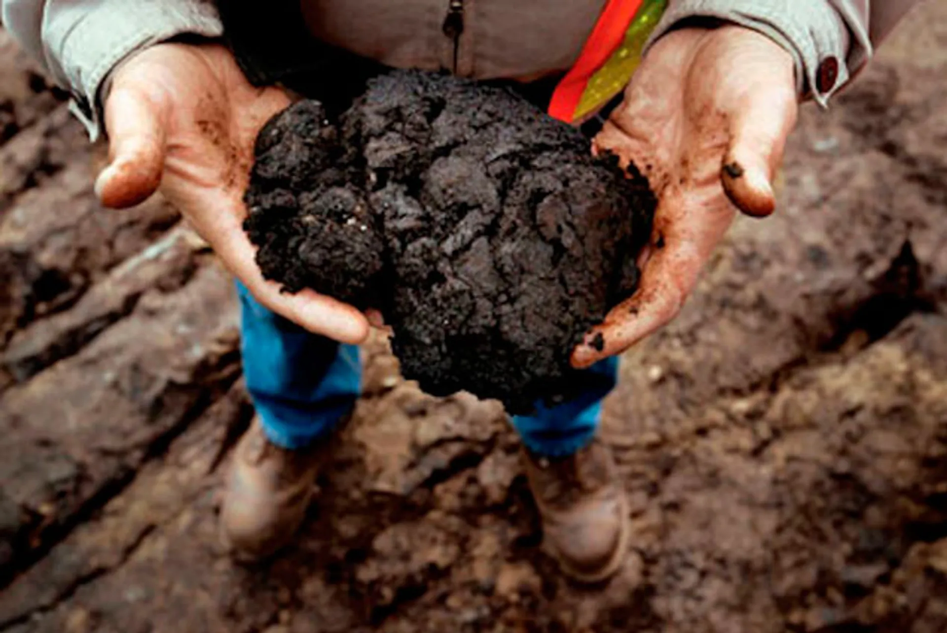 Капитал - Нефти в США может оказаться меньше, чем рассчитывают власти