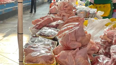 Фото: Валерия Змейкова 